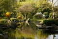 Kyoto Gardens, London