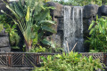 Waterfall and Bridge