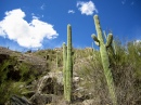 Sabino Canyon