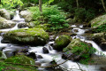 Keeny's Creek Waterfalls