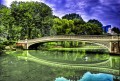 Bow Bridge, Central Park, NYC