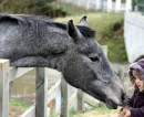 Feeding Time