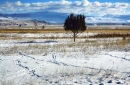 Winter in Montana