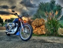 Harley Davidson