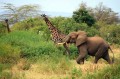 Lake Manyara, Tanzania