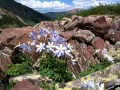 Pearl Pass, Colorado