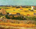 Harvest at La Crau