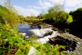 Broken Down Weir near Dublin