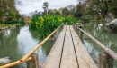 Pathway to the Garden