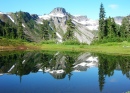 Mt. Baker National Forest