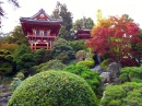 Japanese Tea Garden