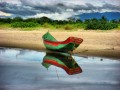 Fishing Boat, Paraná Coast, Brazil