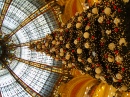 Christmas Tree at Galeries Lafayette, Paris