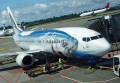 Alaska Airlines' Wild Alaskan Salmon 737