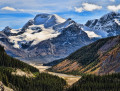 Jasper National Park, Alberta, Canada