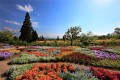 Kujuu-Hana-Kouen Park, Japan