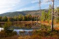 White Mountains National Forest