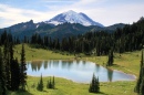 Mt. Rainier from Upper Tipsoo Lake