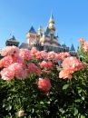 Sleeping Beauty Castle