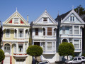 Painted Ladies