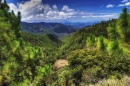 Pulag Mountain Landscape, Philippines