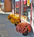 Flower Baskets along 9th Avenue