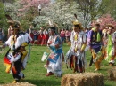 Powwow - Tribal Representatives