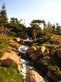 Van Nuys Japanese Garden, California