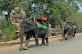 Angkor Thom's Taxi, Cambodia