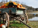 Pumpkin Cart