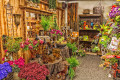Local Flower Shop in Edmond, OK