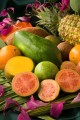 Tropical Fruits