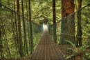 Juan de Fuca Trail: Suspension Bridge