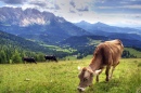 Rosengarten, The Dolomites, Italy