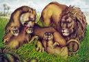 The Lion Family