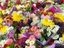 Bouquets of Flowers