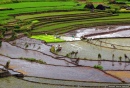 Nagacadan Rice Terraces, Philippines