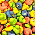 Rubber Ducks