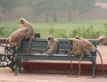 Near Agra, India