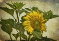 Vintage Sunflower