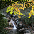 Appalachian Autumn