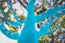 Squid Tree Yarn Bomb