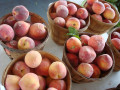 Farmer's Market in Raleigh NC