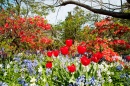 Christchurch Botanic Gardens, New Zealand