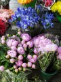 Flower Shop in Katonah, New York