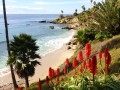 Laguna Beach CA