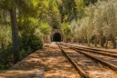 Stop on the Way to Soller, Mallorca