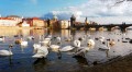 Charles Bridge, Prague