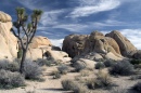 Joshua Tree National Park