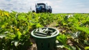 Just-picked Green Zucchini Squash